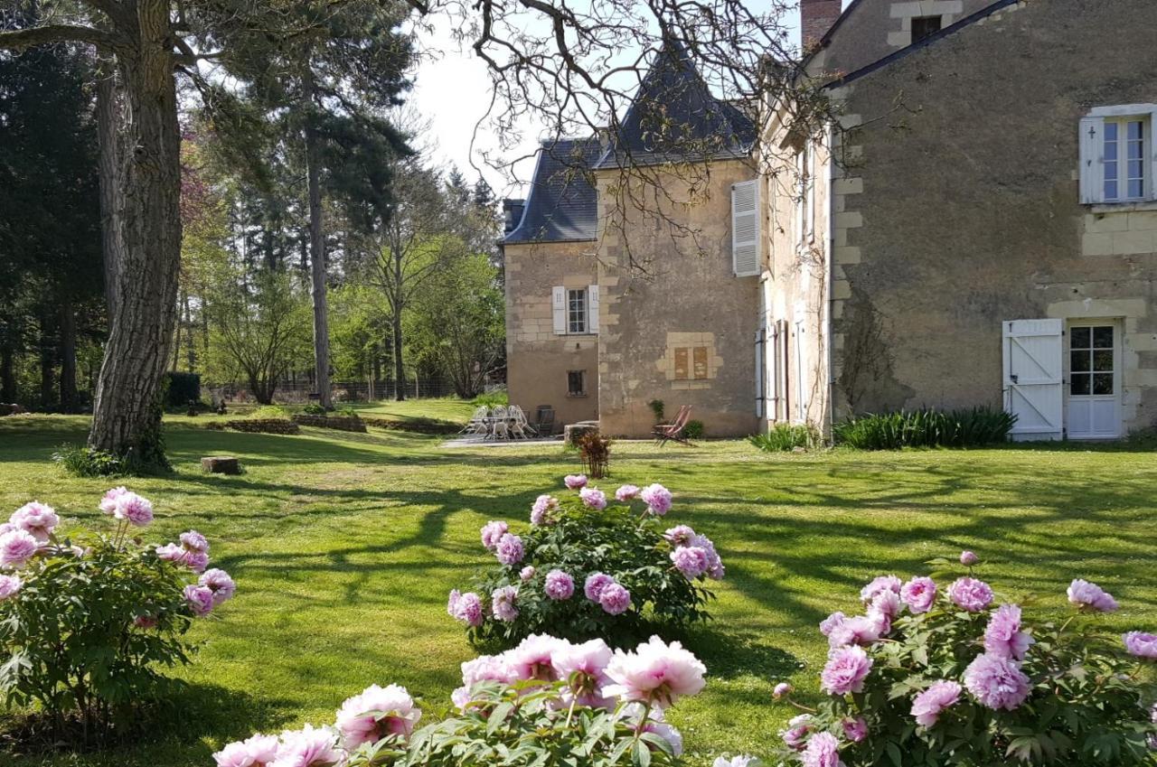 Manoir Du Bellay Panzió Montreuil-Bellay Kültér fotó